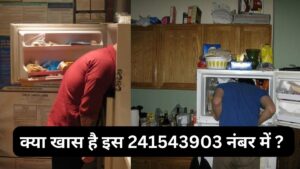 Google Searching Facts: इस 241543903 को सर्च करते ही लोग घुसा लेते हैं फ्रिज में सर? लेकिन क्यों…जाने वजह